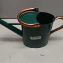 1 Gallon Metal Watering Can with Removable Spout, Nice Galvanized Steel Water Can with Embossed Design for Indoor and Outdoor Plants