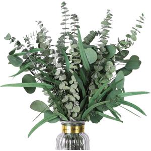 Eucalyptus Stems Mixed Dried Eucalyptus Bundle 15PCS Natural Eucalyptus Stems Greenery Plant for Wedding Bouquet Shower Hanging Home Spring Mother's Day Decoration