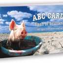 New ABC Cards with American Sign Language
