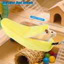 Hamster Exercise Ball Sports Car with Detachable Transparent Running Ball and Carriage, 2 Pcs - Quiet Exercise Toy Kit for Dwarf Hamsters, Mice and Gerbils - Easy to Assemble, No-Noise Night Running