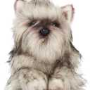Bearington Cairn Terrier Stuffed Animal, 13 Inch Realistic Stuffed Animal