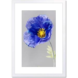 VNVNK 16x24 Frame White, Perfect for 16x24 Inch Picture without Mat or 14x20 Inch Picture with Mat, Home Wall Decor Picture Frame-1 PCS