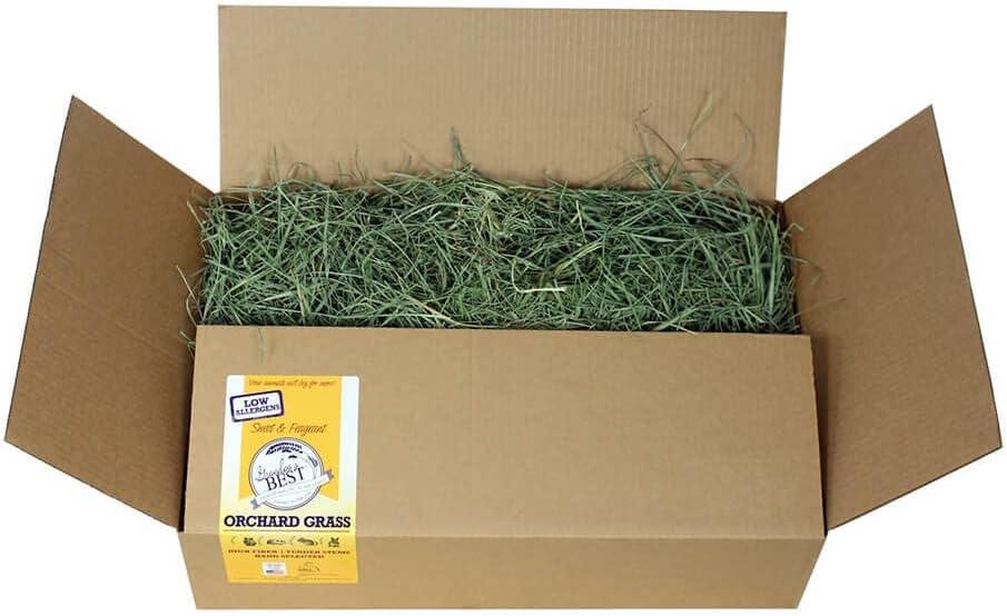 Grandpa's Best Orchard Grass Hay for Rabbits, Guinea Pigs, Chinchillas, Hamsters & Gerbils, 10lb Loose Boxed, Brown