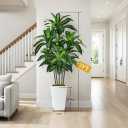 7FT Artificial Dracaena Tree, Fake Tree Indoor with White Tall Planter, Tall Artificial Plants Indoor, Artificial Silk Tree for Home Office Decor Plants Indoor Outdoor (White)