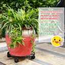 5 Packs 16 Plant Caddy with Wheels Metal Plant Stand on Wheels for Indoor and Outdoor Plants Rolling Plant Stand with Casters Heavy Duty Plant Dolly Roller Caddy, Black