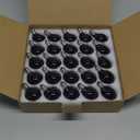 Abeja 25 Pack G40 Replacement Light Bulbs, Black Halloween Bulbs, G40 String Light Replacement Bulbs, 5W Dark Purple Bulb for Indoor Outdoor Patio String Lights, E12/C7 Base