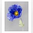 VNVNK 18x24 Frame White Picture frame-1 PCS, Perfect for 18x24 Inch Picture without Mat or 16x20 Inch Picture with Mat, Home Wall Decor Picture Frame