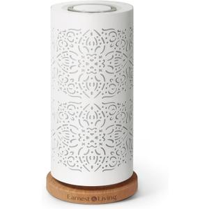 Earnest Living Waterless Diffuser 100ml Nebulizing Diffusion System for Large Ambient Space Studio Home Office Hotel Spa