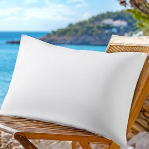 LBRO2M Canadian Down White Goose Pillow 750 Fill Power 80% Down Balance of Softness and Firmness King Down Pillows 100% Cotton Pillow Shell (17"x26" Set of 1)
