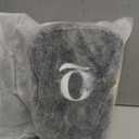 Crossbody Bags for Women Initial Sling Bag Cross Body Fanny Packs Personalized Gifts for Mom Women Wife, Beige With Brown, 6.69 x 2.95 x 10.23 inches, Q