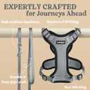 rabbitgoo Cat Harness and Leash for Walking, Escape Proof Soft Adjustable Vest Harnesses for Cats, Easy Control Breathable Reflective Strips Jacket, Grey, M