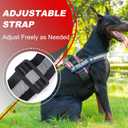 Essential Dog Harness with 3 Leash Clips - No-Pull, Adjustable, Comfortable Pet Vest Harness for Small to Large Dogs - Easy On, No Choke, Reflective, Padded Harness for Walking and Training (Med(Neck:18-26",Chest:21-25"), Flag)