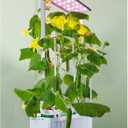 Large Hydroponics Growing System kit with Trellis,Smart Indoor Hydroponic Gardening System with LED Grow Light, Indoor Hydroponic Grow Kit for Tomato,Pepper,Cucumbers(7L,Pump)