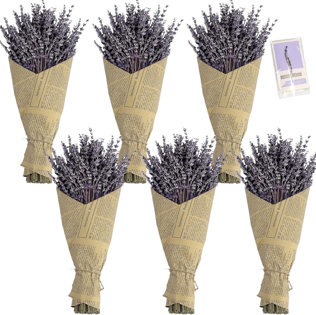 6 Packs Natural Dried Lavender Flowers Bouquet with Stems (14-17 Inches, 540-600 Stems Total), Home Fragrance for Drawers, Wedding Decor & Photography Props, DIY Crafts Supplies