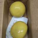 Trademark Innovations Weighted Toning Exercise Ball - Set of 2 (5lbs, Yellow)