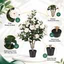 3FT Artificial Camellia Tree 2 Pack, UV Resistant Faux Camellia Plants with Realistic White Flowers, Tall Fake Potted Trees for Front Porch Patio Garden Home Decor, Indoor Outdoor