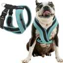 Gooby Comfort X One Dog Harness - Head-in Dog Harness for Dogs - Escape-Free & Choke Free - Breathable Mesh, Shock Absorbing, Easy Snap & Swivel Buckles - Seattle Blue, Large