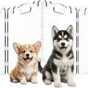 Acrylic Dog Gate, 31in Tall Freestanding Clear Pet Gate for Doorways, Transparent Clear Dog Gate Indoor for Large Openings & Stairs, Foldable Pet Gate for Dogs (4 Panel - 80'' W x 31'' H)
