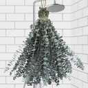 24 PCS Real Dried Eucalyptus Stems for Shower Hanging-17'' Large Preserved Plants Shower Plants Shower Stuff for Shower Decor, Fresh Eucalyptus Leaves, Fragrance, Bathroom Vase Decor