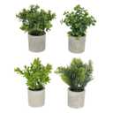 Greenery In Pot - 22cm