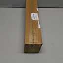 20 Pcs Christmas Norfolk Pine Branches -18" Real Touch Artificial Norfolk Pine Branch Faux Plants Stem Fake Greenery Pine Picks for Vase DIY Crafts Garland Wreath Home Indoor Outdoor Decoration