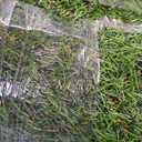 XLX TURF 8FT X 12FT Outdoor Artificial Turf Grass Rug, Thin Green Grass Carpet Flooring Mats Decor Patio, Backyard, Dog Pets Fake Grass Pads