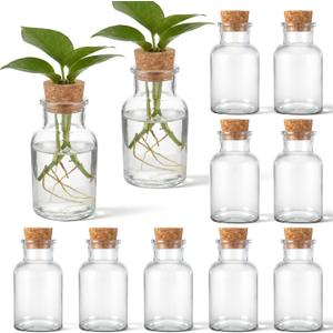 12 Pack Glass Plant Propagation Stations, Hydroponic Vases Tabletop Plant Terrarium Jar for Indoor Flower Arrangements Glass Planter Kitchen Office Decoration Gifts