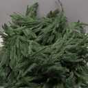 2 Pcs 9FT Norfolk Pine Garland (18FT Total): Real Touch Artificial Christmas Greenery with 180 Branches, Premium Decor for Mantle, Table, Wall, Indoor/Outdoor(Dark Green)