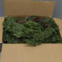 Lvydec Christmas Pine Garland Greenery Decoration, Realistic Cedar Branch Lush Cypress Leaves Garland for Holiday Mantel Fireplace Table Centerpiece