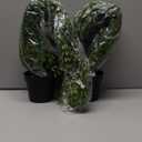 Artificial Hanging Plant 2 Pcs Faux Plant Ivy Vine Faux Eucalyptus Vines Fake Potted Greenery for Wall Living Room Home Shelf Office Bathroom Outdoor Indoor Decor (Type 4)