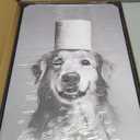 Dog Bathroom Wall Art Dog Toilet Painting Black and White Animal Bathroom Canvas Wall Art Funny Pet Animal Toilet Paper Poster Pictures for Bath Restroom Wall Framed 8X10 inch