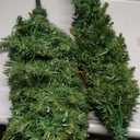 5 Feet Pre-Lit Potted Christmas Tree