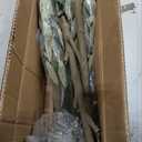 Fake Olive Tree - 6FT Fake Plants Indoor with Pot, Artificial Tree with Natural Olive Branches and Realistic Leaves, Silk Faux Trees for Modern Home Living Room Office Decor