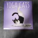 Yoga Cats OFFICIAL | 2026 12 x 24 Inch (Hanging) Monthly Square Wall Calendar | Plastic-Free | BrownTrout | Animals Humor Pets