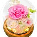 Preserved Flowers for Mom - Preserved Pink Roses in Glass Dome with LED Light for Girlfriend, Eternal Real Flowers for Women, Unique Long-Lasting Gift to Celebrate Christmas (Prime Delivery)