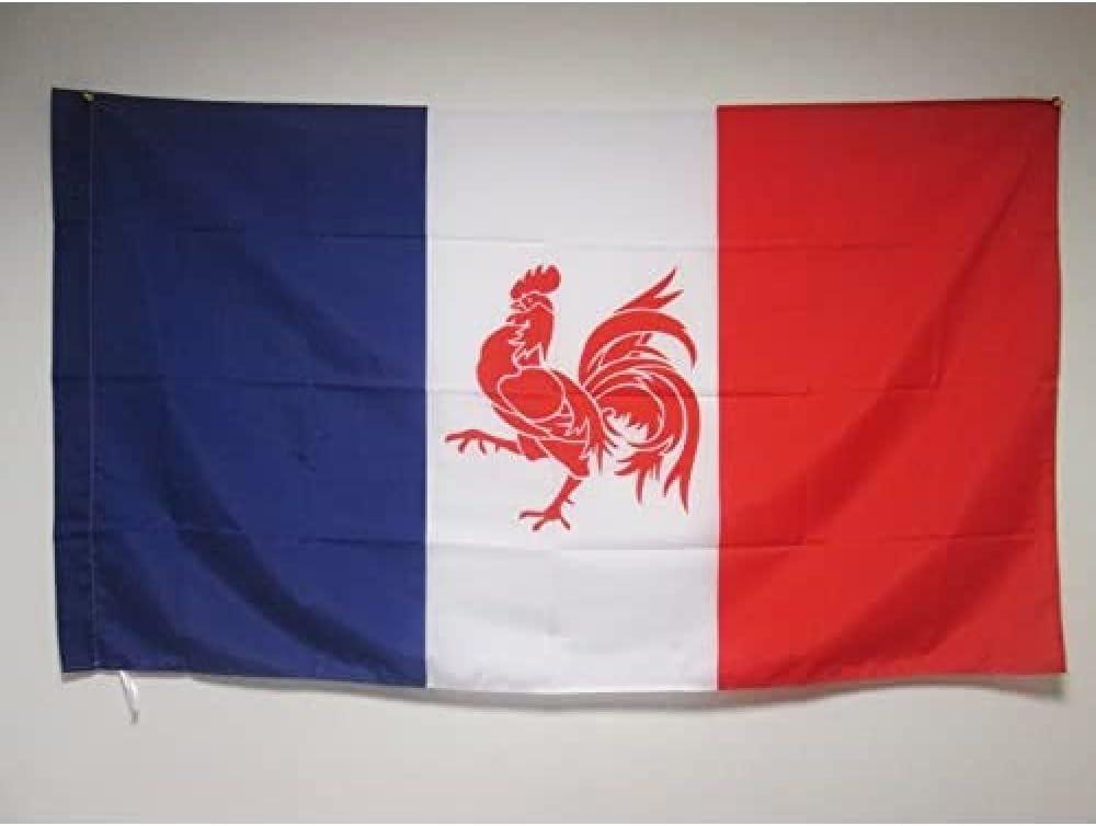 Walloon French Movement Flag 2' x 3' for a pole - Rattachism movement flags 60 x 90 cm - Banner 2x3 ft with hole - AZ FLAG