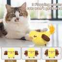 2 x Cat Toys Flapping Birds with Catnip Bags, Rechargeable Chirping Interactive Cat Toy Kicker, Lifelike Birdie Tweets, Indoor Enrichment Moving Wings Cat Exercise Toys for All Breeds Kitten Dog(Oriole) (A1)