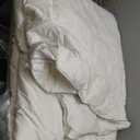 Maple&Stone Feather Down Comforter Queen Size All Season White Down Duvet Insert Ultra Soft 100% Cotton Cover Fluffy Queen Comforter 90 x 90 Inches