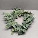 24in. Eucalyptus Leaf Wreath