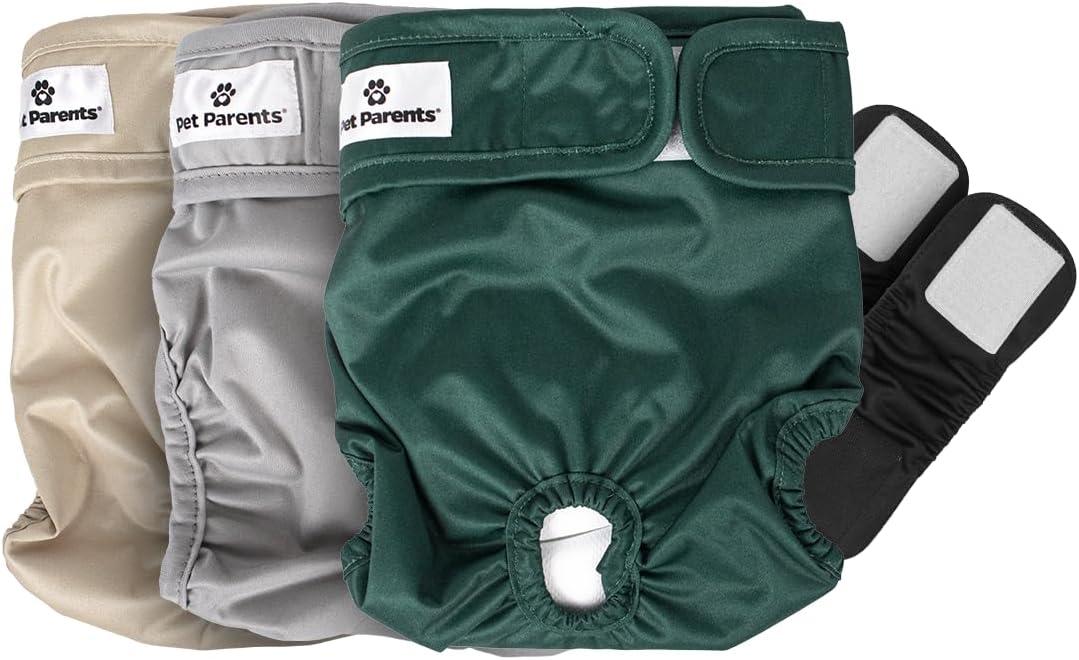 Pet Parents Washable Dog Diapers (3pack) + Extendrs of Durable Doggie Diapers, Premium Dog Diapers Female (Large, Spruce)
