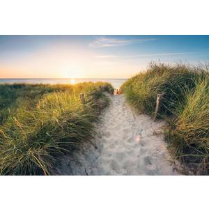 Komar Way to The Beach Wall Mural, XXL4-076