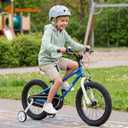 RoyalBaby Kids Bike with Dual Handbrake for Beginners,12 14 16 18 20 Inch Bicycle for Boys & Girls Ages 3-10 Years