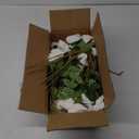 60 Pcs Artificial Roses Bulk Velvet Silk White Roses White Roses for Wedding Centerpieces Bridal Bouquet Mohter's Day Valentine's Day Home Decor (60, White)