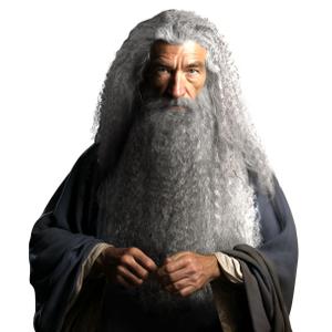 HOMELEX Grey Wizard Beard And Wig - Halloween Funny Father Time Costume Accessory for Adults
