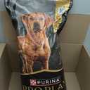 Purina Pro Plan Sport 30/20 High Protein Dry Dog Food, Beef & Bison, 33 lb (EXP 09/22/27)
