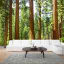 WFBHUA-Redwood Forest Wallpaper Green Woodland Tree Wallpaper for Bedroom Large Art Wall Murals for Living Room Office (Not Peel and Stick) 170" x 110"