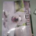 Westie Calendar 2026 West Highland Terrier Gifts Westies Monthly Wall Calender 12 Month | American Made In The USA