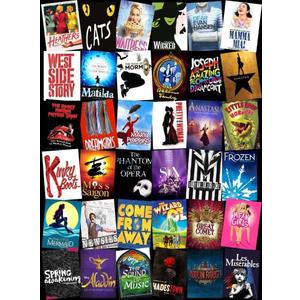 Jigsaw Puzzles for Adults 1000 Piece High Challenging DIY Large Puzzle Educational Toy Funny Family Games Unique Home Decor (Musical Theater)