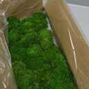 Preserved Reindeer Moss Natural Green DIY Kit Gardenning Art Wall Decor Florist Decor Easter Table Decor Wedding (0.85 lb)