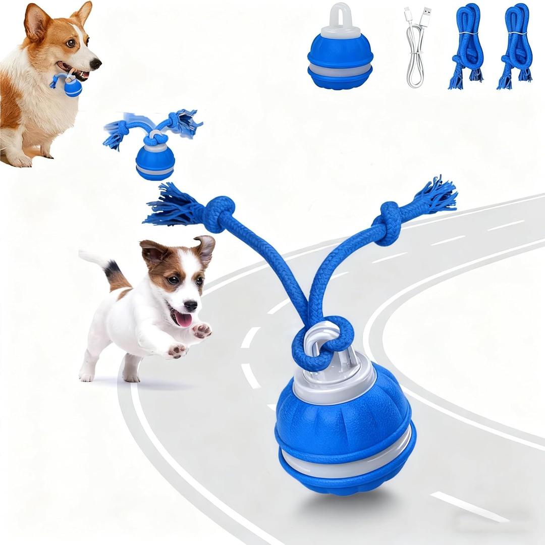 Interactive Dog Toys for Small Dogs  Peppy Pet Ball & Chase Buddy Dog Toy Active Rolling Puppy Toys to Keep Them Busy, Daily Training Interactive Puppy Toys (blue)